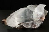 Glassy Selenite Crystal Cluster - Naica Mine, Mexico #325055-1